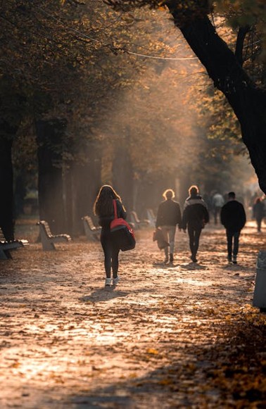 autumn outing